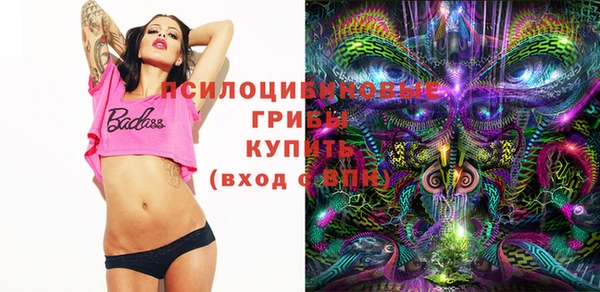 МДПВ Алексеевка