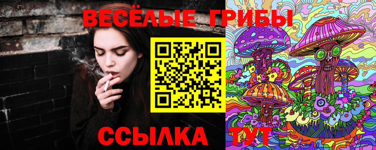 Прокопьевск  Галлюциногенные грибы MAGIC MUSHROOMS  Вход с VPN 